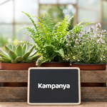 Kampanyalar