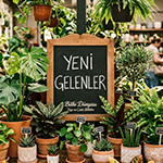 Yeni Gelenler